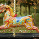A photo of a goddamn RUMBLE PONY, via Getty